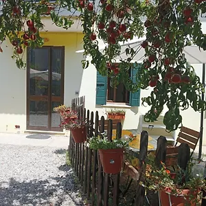  Appartement Malcontenta Italie
